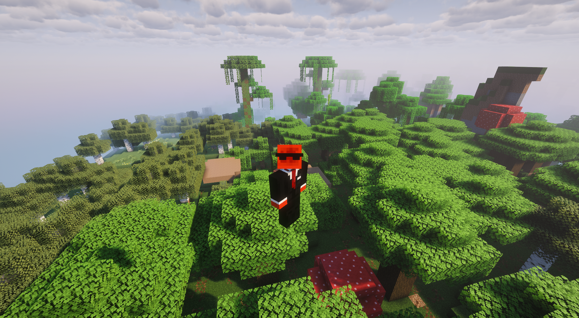 My Minecraft character flying above Dark Oak trees in game.